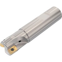 �Z�R�@�t���C�X�@�@�^�[�{�~���@�J�b�^�[