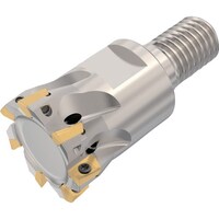 �Z�R�@�t���C�X�@�@�^�[�{�~���@�J�b�^�[