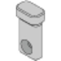 �^���K���C�@�H��i