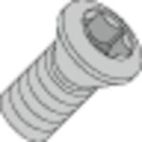 �^���K���C�@�H��i