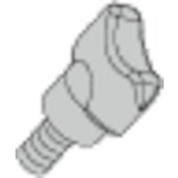 �^���K���C�@�H��i