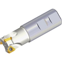 �s�`�d�f�t�s�d�b�@�~�[�����O�J�b�^�[�@�~�����b�V��