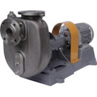 �s�d�q�`�c�`�@�Z���v���|���v�@�X�e�����X���O�����h�p�b�L�����@�U�O�g���@���[�^�[�t�@�b�n�Q�U�O�g�y�v�l�@�P��