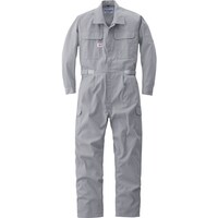 �`�t�s�n�|�a�h�@�Ȃ����|�O�O�W�V���o�[�O���[�i��