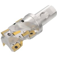 �Z�R�@�t���C�X�@�@�^�[�{�J�b�^�@�J�b�^�[