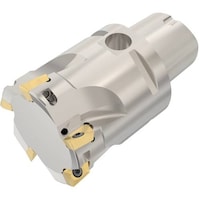 �Z�R�@�t���C�X�@�@�^�[�{�J�b�^�@�J�b�^�[