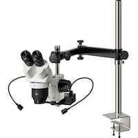 �g�n�y�`�m�@���̌�����