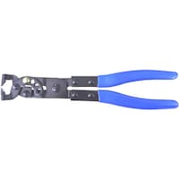 �i�s�b�@�N���b�v�O��