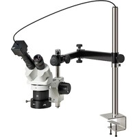 �g�n�y�`�m�@���̌������i�o�b�p�j�@�k�j�h�s�P�O�P�T�@�P��