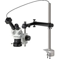 �g�n�y�`�m�@���̌������i�o�b�p�j