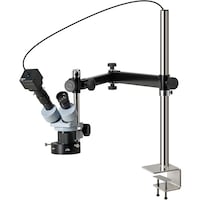 �g�n�y�`�m�@���̌������i�o�b�p�j