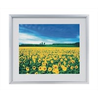 �i�J�o���V�@�A���~���y�ʎʐ^�z�^�V���o�[�^�Z�c�؁@�r�`�Q�Q�Q�r�@�P��