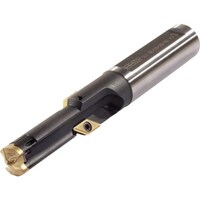 �C�X�J���@�v���X���b�h�@�w�b�h�������˂��������H�h