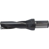 �C�X�J���@�c�y�h����