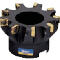 �C�X�J���@�w���N�A�b�h�@�t�F�[�X�~���@�e�X�O�r�o�|