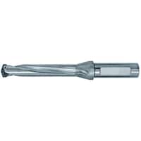 �_�C�W�F�b�g�@�s�`�|�d�y�h�����@�t�����W�{�́@�s�d�y�c�Q�V�O�O�r�R�Q�e�l�r�@�P�{