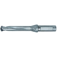 �_�C�W�F�b�g�@�s�`�|�d�y�h�����@�t�����W�{��