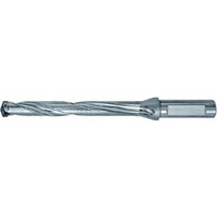 �_�C�W�F�b�g�@�s�`�|�d�y�h�����@�t�����W�{��