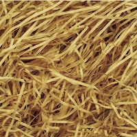 �T�T�K���@�p�b�L���@���p�b�L���@�P�����@�V���`��