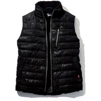 ���d���@�x�X�g�u���c�N�@�d�k