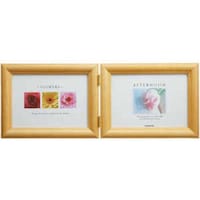 �t�W�J���[�@�ؐ��t�H�g�X�^���h