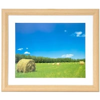 �t�W�J���[�@�ؐ��z���x�l�|�R�ؒn�@�A�N�����@�U��