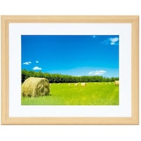 �t�W�J���[�@�ؐ��z���x�l�|�R�ؒn�@�A�N�����@�`�S