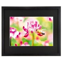 �t�W�J���[�@���C�h�}�b�g�t���[���@�l�R�O�O�O�@����