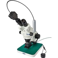 �g�n�y�`�m�@���̌������@�i�o�b�p�j