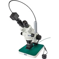 �g�n�y�`�m�@���̌������@�i�o�b�p�j