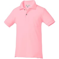 �N���_���}�@�q���p�����|���V���c�i�e�X���b�g�j�@�s