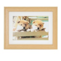 �t�W�J���[�@�ؐ��z���@�x�l�|�X�i�ؒn�j�@�L���r�l�i