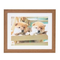 �t�W�J���[�@�ؐ��z���@�x�l�|�X�i�u���E���j�@���C�h