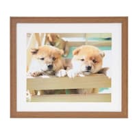 �t�W�J���[�@�ؐ��z���@�x�l�|�X�i�u���E���j�@���C�h