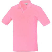 �N���_���}�@�����|���V���c�i�e�X���b�g�j�@�s���N�@