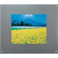 �t�W�J���[�@�v���t���[���@�����t���[�k�@�V���o�[