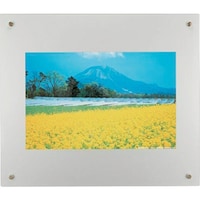 �t�W�J���[�@�v���t���[���@�S�؃m�[�g���@�V���o�[