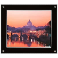 �t�W�J���[�@�v���t���[���@�S�؁@�u���b�N