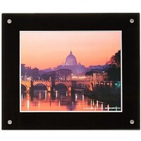 �t�W�J���[�@�v���t���[���@�U�؁@�u���b�N