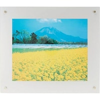 �t�W�J���[�@�v���t���[���@�S�؁@�V���o�[