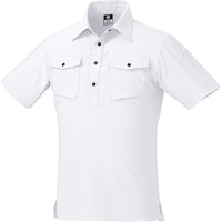 �N���_���}�@�����|���V���c�i�e�X���b�g�j�@�z���C�g