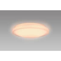 �g�����������w�@�k�d�c���^�V�[�����O�i���|�V�[����