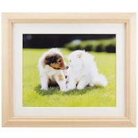 �t�W�J���[�@�ؐ��z���@�l�P�Q�@�A�N�����@�U��