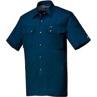 �N���_���}�@�����V���c�@�u���[�@�d�k