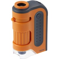 ���C���C�@�n���f�B�������y�n�n�l�I�����W