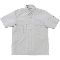 �N���_���}�@�����V���c�@�A�C�{���|�@�r