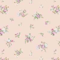 �T�T�K���@����@����@���f�B���[�Y�@�S���@�S�X