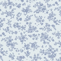 �T�T�K���@����@����@�u���[�t�����[�@�S���@�S