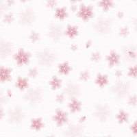 �T�T�K���@����@����@�a��������@���˔��@�S�X