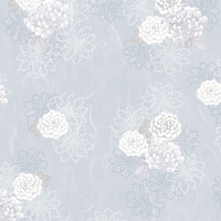 �T�T�K���@����@����@�e��@���˔��@�S�X�O�P�W